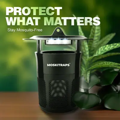 Mosquito/ Insect Trap MQ HN I IS1