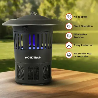 Pest Trap Indoor GM918